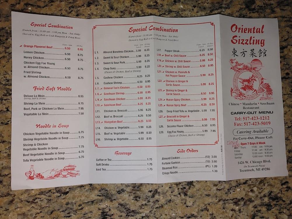 Oriental Sizzling Menu image 4